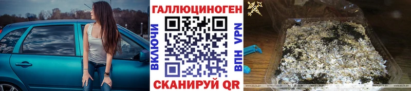 Купить где Бикин Псилоцибиновые грибы Psilocybine cubensis